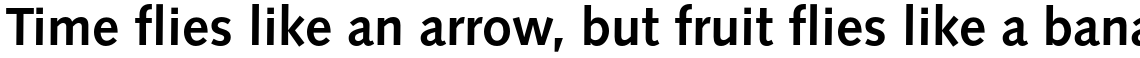 Syntax Pro Bold