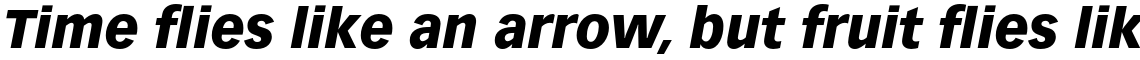 Vectora Pro 96 Black Italic