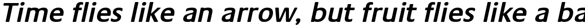 Praxis Com Semi Bold Oblique