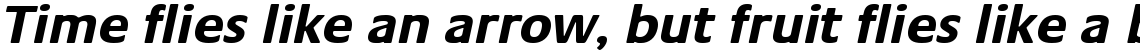 Praxis Com Bold Oblique