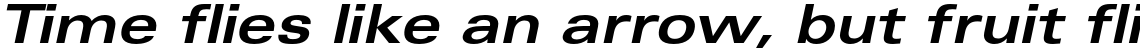 Univers Pro 63 Bold Extended Oblique