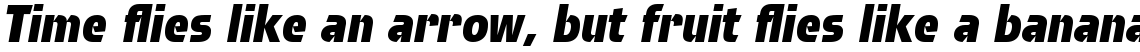 Brda Com Extra Bold Italic