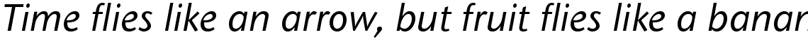 ITC Stone Sans Com Medium Italic