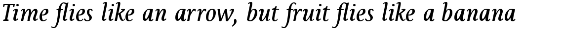 Sassoon Book Com Italic