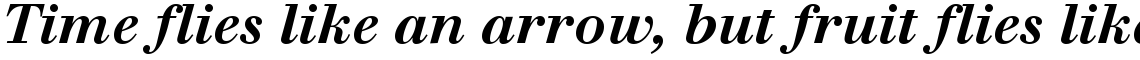 Walbaum Com Bold Italic
