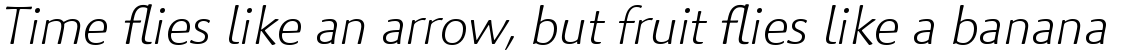 Palatino Sans Com Light Italic