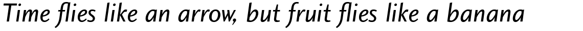 Charlotte Sans Com Book Italic