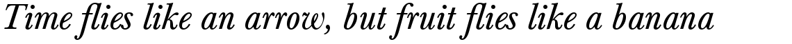 Baskerville Com Italic