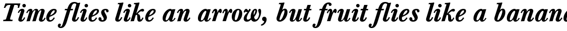 Baskerville Com Medium Italic