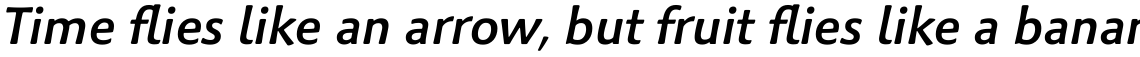 Palatino Sans Com Medium Italic