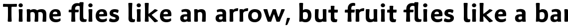 Palatino Sans Com Bold