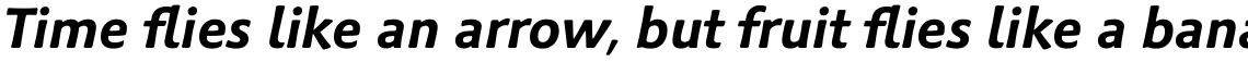 Palatino Sans Com Bold Italic