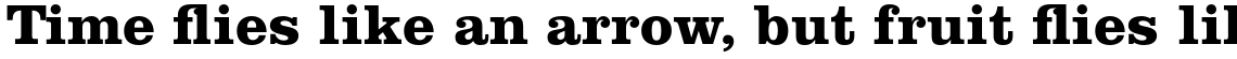 Clarendon Std Bold