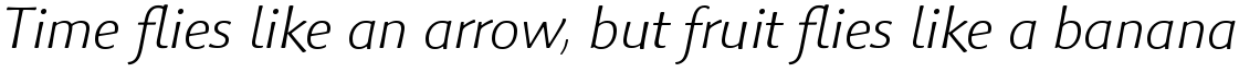 Palatino Sans Com Informal Light Italic