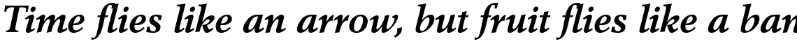 Berling Std Bold Italic