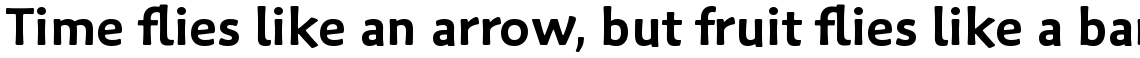 Palatino Sans Com Informal Bold