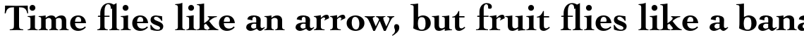 Cochin Pro Bold