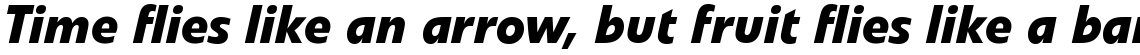Veto Com Bold Italic
