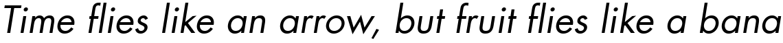 Futura Com Book Oblique