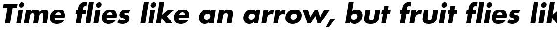 Futura Com Bold Oblique