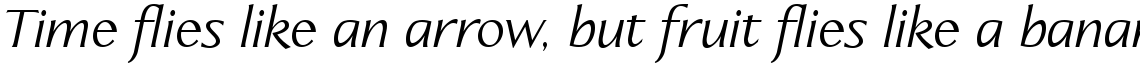 Linotype Aperto Com Italic