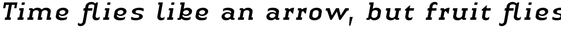 Linotype Authentic Serif Com Italic