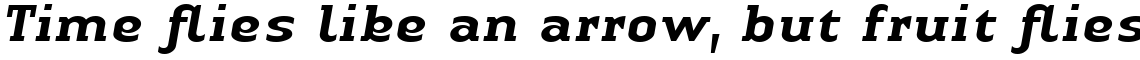 Linotype Authentic Serif Com Medium Italic