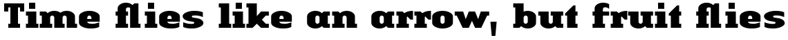 Linotype Authentic Serif Com Black