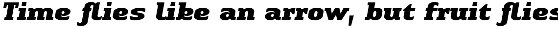 Linotype Authentic Serif Com Black Italic