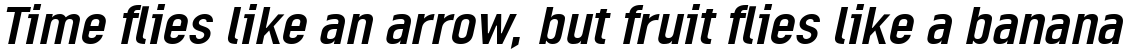 Linotype Ordinar Com Italic