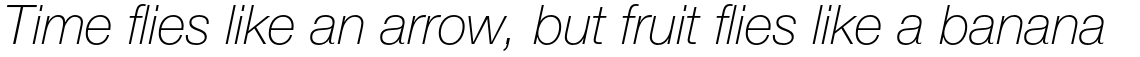 Neue Helvetica Paneuropean 36 Thin Italic