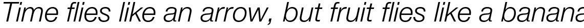 Neue Helvetica Paneuropean 46 Light Italic