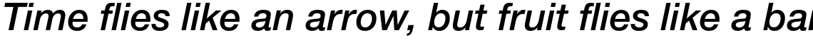 Neue Helvetica Paneuropean 66 Medium Italic