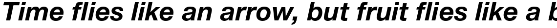 Neue Helvetica Paneuropean 76 Bold Italic
