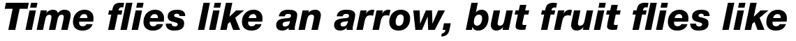 Neue Helvetica Paneuropean 86 Heavy Italic