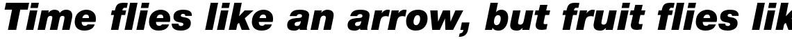 Neue Helvetica Paneuropean 96 Black Italic
