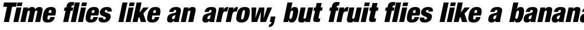 Neue Helvetica Paneuropean 97 Black Condensed Oblique