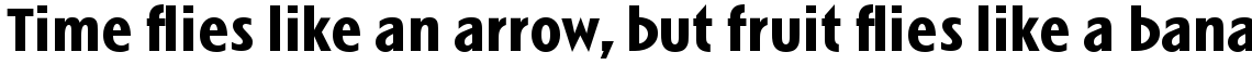 Linotype Spitz Com Bold