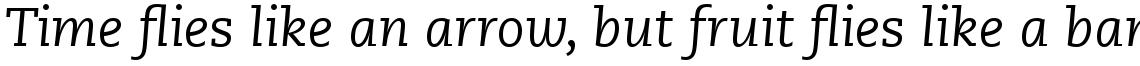 PMN Caecilia Com 56 Italic