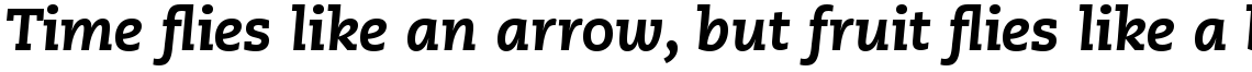 PMN Caecilia Com 86 Heavy Italic