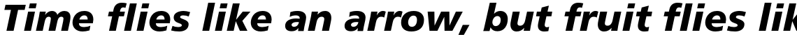 Frutiger Pro 76 Black Italic