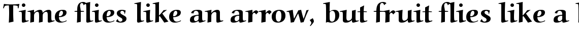 Alcuin Com Bold