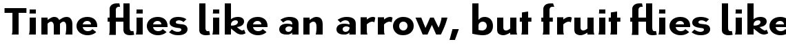 Ambigue Com Bold