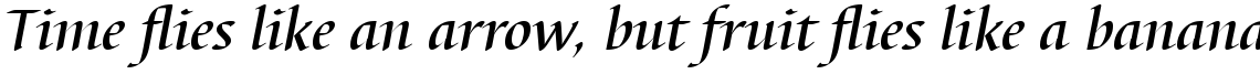 Barbedor Com Medium Italic