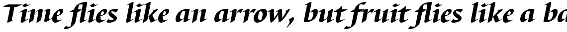 Barbedor Com Heavy Italic