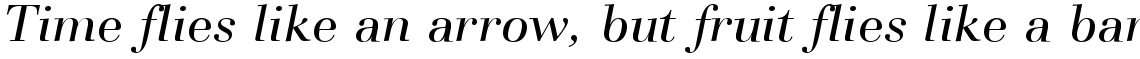 Basilia Com Italic