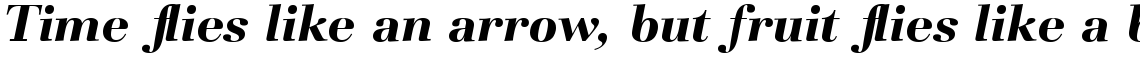 Basilia Com Bold Italic