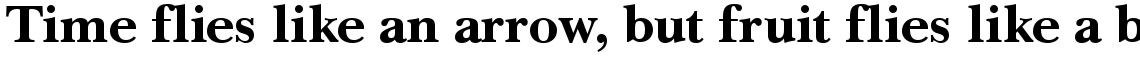 Baskerville LT Com Bold