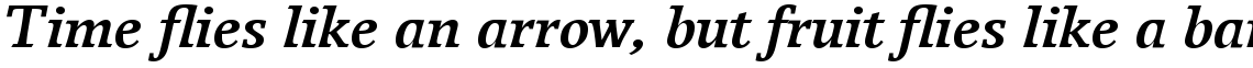 Breughel Com 66 Bold Italic