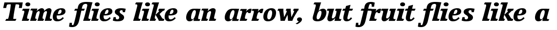 Breughel Com 76 Black Italic
